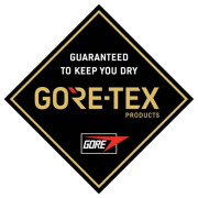 Manoplas Dakine Excursion Gore-Tex Mitt