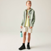 Chaqueta para niños Dare 2b Expedition Midlayer GlacierGreen