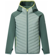 Chaqueta para niños Regatta Junior Andreson Hybrid verde DrkForGlac