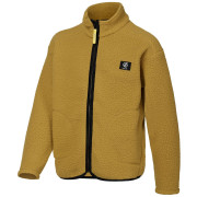 Sudadera para niños Dare 2b Zesty II Fleece Wood Brown