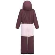 Mono para niños Dare 2b Rodeo Snowsuit Hucklbr/PkHz