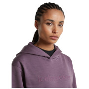 Sudadera funcional de mujer Icebreaker W Mer 360 RealFleece Elemental LS Hood