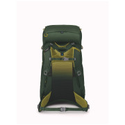 Mochila para niños Osprey Ace 38