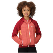 Sudadera para niños Regatta Prenton II