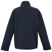 Sudadera funcional de hombre Regatta Frankie Borg Fleece