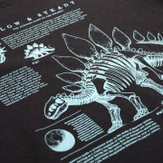 Camiseta para niños Alpine Pro Ecco 2 Black