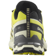 Calzado de senderismo para hombre Salomon Xa Pro 3D V9 Gore-Tex