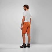 Pantalones cortos de hombre Salewa Puez Talveno Dst Shorts M