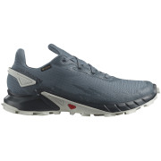 Zapatillas de carrera para hombre Salomon Alphacross 4 Gore-Tex