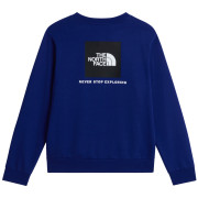 Sudadera de hombre The North Face M Evolution Box Nse Regular Crew