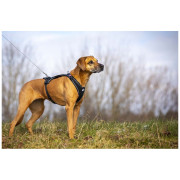 Correa para perro Curli Ultra Strong Pocket Leash