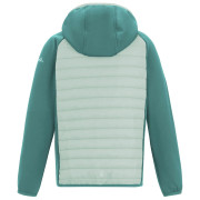 Chaqueta para niños Regatta Junior Andreson Hybrid IvyMossOMist