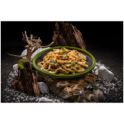 Comida deshidratada Adventure Menu Penne de proteína de grillos con pollo en salsa de crema criolla