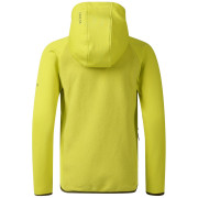 Chaqueta para niños Dare 2b Kids Switch Out Hybrid Frg/Gldncyp