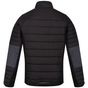 Chaqueta de invierno para hombre Regatta Halton VI