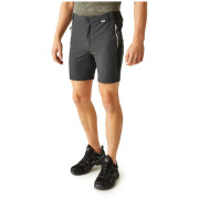 Pantalones cortos de hombre Regatta Mountain ShortsII M