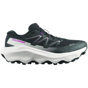 Zapatillas de carrera para mujer Salomon Ultra Flow 2 Gore-Tex