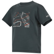 Camiseta para niños Regatta Alvarado Seal Grey