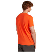 Camiseta de hombre Icebreaker Men Merino 150 Tech Lite Bear Tour
