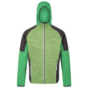 Sudadera de hombre Regatta Attare II verde Jasmine Green/Field Green