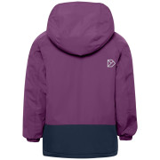 Chaqueta de invierno para niños Didriksons Talvi Kids Jkt 2 Northen Purple