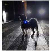 Luz para perro Curli Luumi Safety LED Lights rechargeable