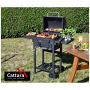 Barbacoa de carbón vegetal Cattara Royal Partner