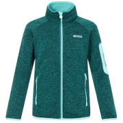 Sudadera para niños Regatta Junior Newhill DrkForGlacGr verde DrkForGlacGr