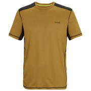 Camiseta de hombre Regatta Virda marrón WdBrn/Blck