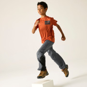 Pantalones para niños Regatta Sorcer Mountain Trousers VII Dark Storm