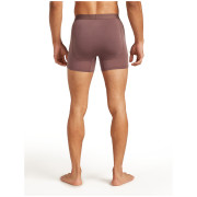 Calzoncillos bóxer funcionales para hombre Icebreaker M Mer 125 ZoneKnit Boxers