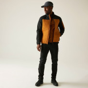 Chaqueta de hombre Regatta Ceden Hybrid
