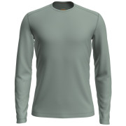 Camiseta de hombre Icebreaker Mens 200 Oasis LS Crewe verde Moss