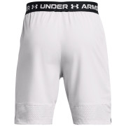 Pantalones cortos de hombre Under Armour Vanish Woven Shorts