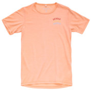 Camiseta para niños Devold Active "Devold Legacy" Tee Jr rosa claro SUNRISE