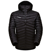 Chaqueta de hombre Mammut Albula IN Hooded Jacket Men