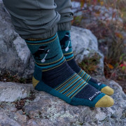 Calcetines de hombre Darn Tough Willoughby Micro Crew Lightweight With Cushion