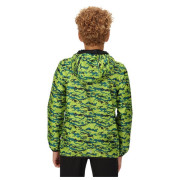 Chaqueta para niños Regatta Printed Lever (2023)