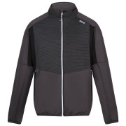 Sudadera de hombre Regatta Yare VIII gris Ash/Black