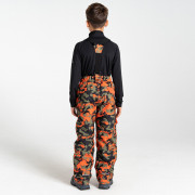 Pantalones para niños Dare 2b Pow Pant