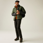 Chaqueta de hombre Regatta Hooded Dalent