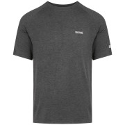 Camiseta de hombre Regatta Ambulo II gris Ash