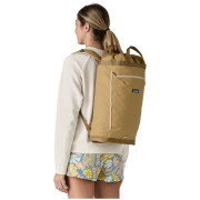 Mochila Patagonia Fieldsmith Linked Pack 24L