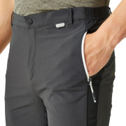 Pantalones cortos de hombre Regatta Mountain ShortsII M