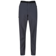 Pantalones de hombre Regatta Xert Str Trs III