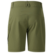 Pantalones cortos para niños Dare 2b Reprise III Short Nephite Green