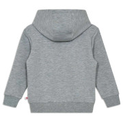 Sudadera para niños Lego Wear Lwsky 600 Grey