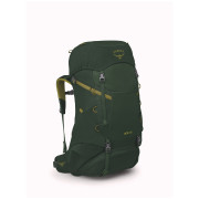 Mochila para niños Osprey Ace 38 verde green canopy/matcha green