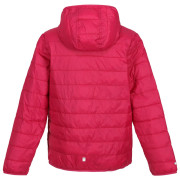 Chaqueta para niños Regatta Jr Hooded Hillpck