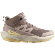 Calzado de senderismo para mujer Salomon Elixir Activ Mid Gore-Tex